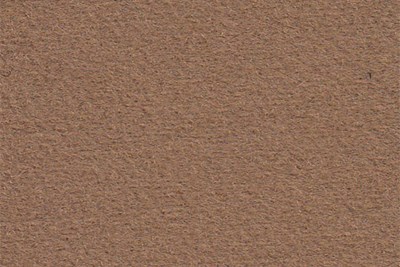 Plain Camel